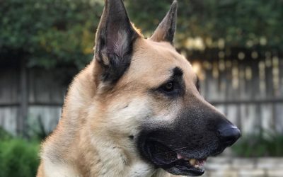 Episode 4: A Big Boy and a Bigger Blessing