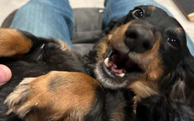 Episode 6: Fretless in Montana