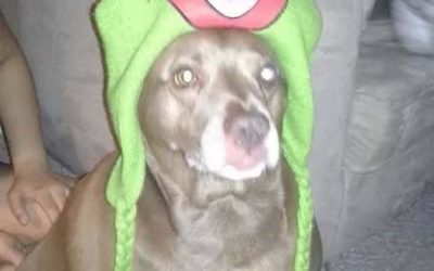 Episode 8: Aunt Kim is Comin’