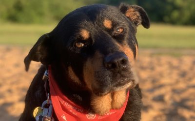 Episode 3: You Scared the Cr@p Outta Me!