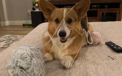 Episode 7: All Hail the Quinn!