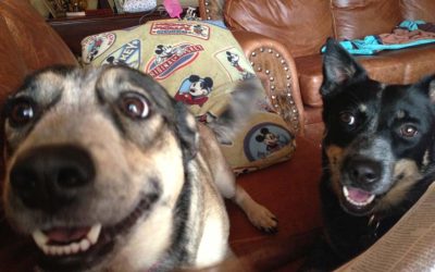 Episode 10: Poopapalooza….possibly my “best” story yet!