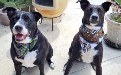 Episode 9: Mila, Zoe & Fauxbacca