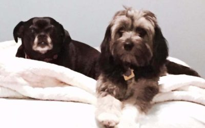 Episode 12: Tincture of Bunny Thighs