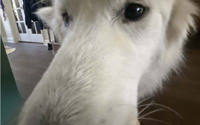 Episode 17: Am I Doing This Right?