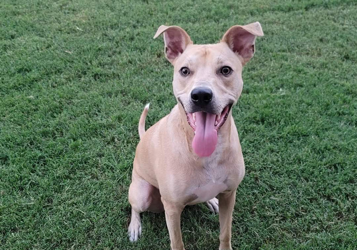 Episode 24: Cheetah, Smart and Smiling!