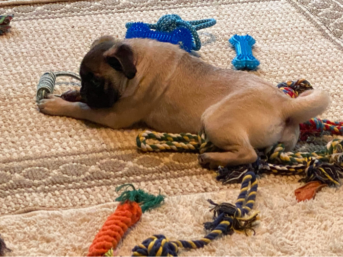 Episode 28: Never a Dull Moment