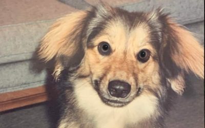 Episode 26: How Dare You unTreat Me That Way!