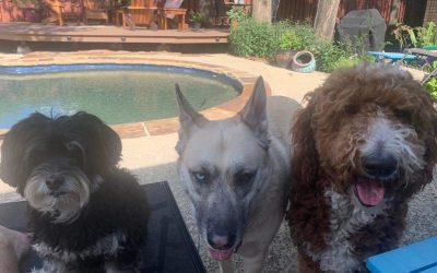 Episode 25: Free to Be