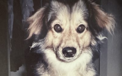 Episode 27: What a Gas!